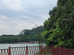 -水濂山森林公园