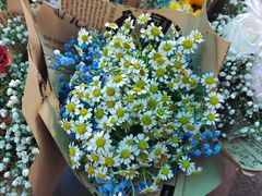 -循礼门鲜花花市(武汉循礼门店)