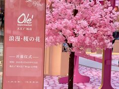 -Olé精品超市(天汇广场店)
