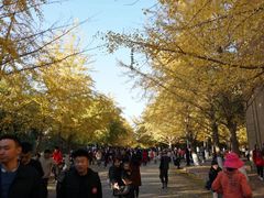 -辽宁大学(崇山校区)