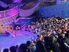 -烟台海昌鲸鲨海洋公园