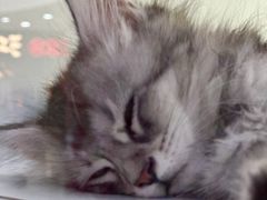 -万达广场(太原街店)