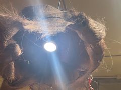 -泥糊破店小酒馆·团建聚餐(南京西路店)