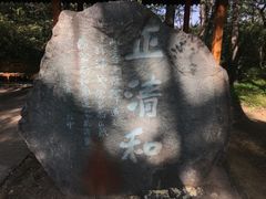 -高尔山公园