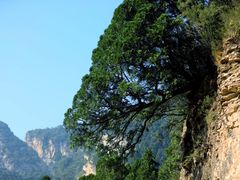 -北京上方山国家森林公园