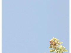-椒行天下·干锅·牛蛙(万宝店)