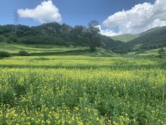 -乌兰布统草原