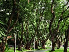 -人民公园(罗湖区)