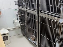 -芭比堂动物医院(广州爱宠下渡路分院)