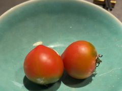 -鼎鼎香·港式火锅(北京SKP店)