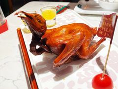 -鸽舞笙平金牌烧鸽子·融合菜(鲁谷店)