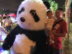 -万绿园