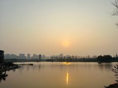 -洋湖国家湿地公园