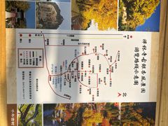 -遵化市禅林寺古银杏风景园