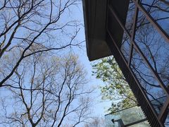 -白塘生态植物园