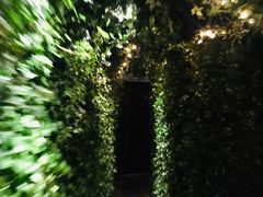 -顶层酒吧ROOF(上海艾迪逊酒店)