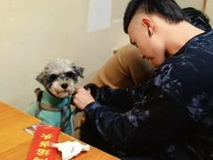 -炒豆合作社(东四总店)