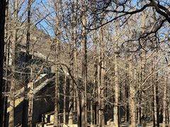 -阳台山自然风景区