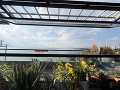 -野菌皇海景野生菌火锅(滨海大道店)
