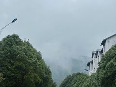 -收获咖啡HARVEST RESERVE(苍山店)