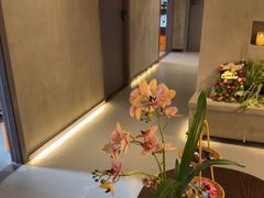 -施奈儿.洗头頭療.按摩SPA.采耳(上梅林店)