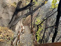 -大岭沟猕猴桃谷风景区