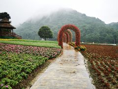 -广州市石门国家森林公园