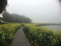 -广州市石门国家森林公园