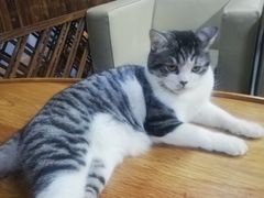 -蓝天射箭馆·专业射箭运动(诚丰广场店)