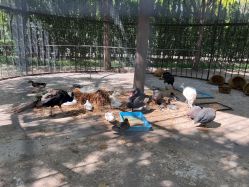 -优沃得自然教育农场·冰雪乐园·生日会·研学