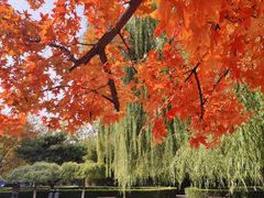 -防灾科技学院(南校区)