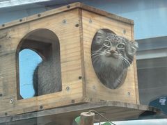 -青藏高原野生动物园