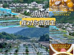 -天府广场