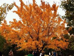 -辽宁大学(崇山校区)