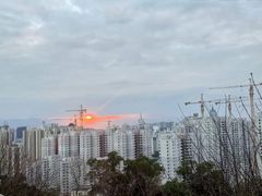 -金鸡山公园