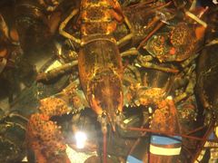 -RED LOBSTER(中城西店)