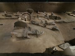 -洛阳周王城天子驾六博物馆