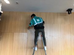 -叶子环保专业除甲醛(广州总部)