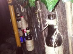 -别院里音乐餐酒吧(双流航空港店)