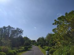 -梁鸿国家湿地公园