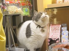 -解忧集市(北京路天河城店)