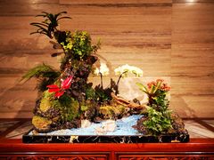-白天鹅宾馆-玉堂春暖餐厅