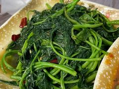 -张鲫鱼家常菜