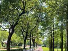 -上海交通大学(闵行校区)