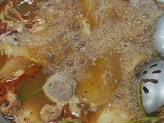 -古乐牛香·鲜牛肉牛杂火锅(高新店)