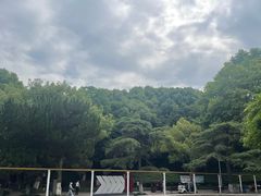 -赭山公园