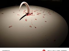 -上海当代艺术博物馆