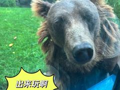 -北京野生动物园