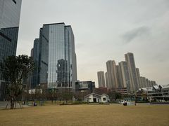 -重庆市江北嘴中央商务区中央公园