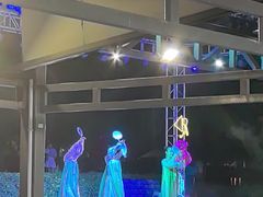 -渔家火锅·海鲜自助餐·演艺(亚龙湾天域酒店)